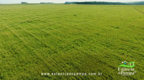 DO PIVO 2 PARA O 1 ALTO.00_00_24_26.Quadro002_8fa80d6d63cac540c7eaaf9c84e71e53e0073bcf.jpg